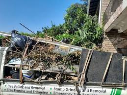 Best Dumpster Rental Services in Beaverton, MI